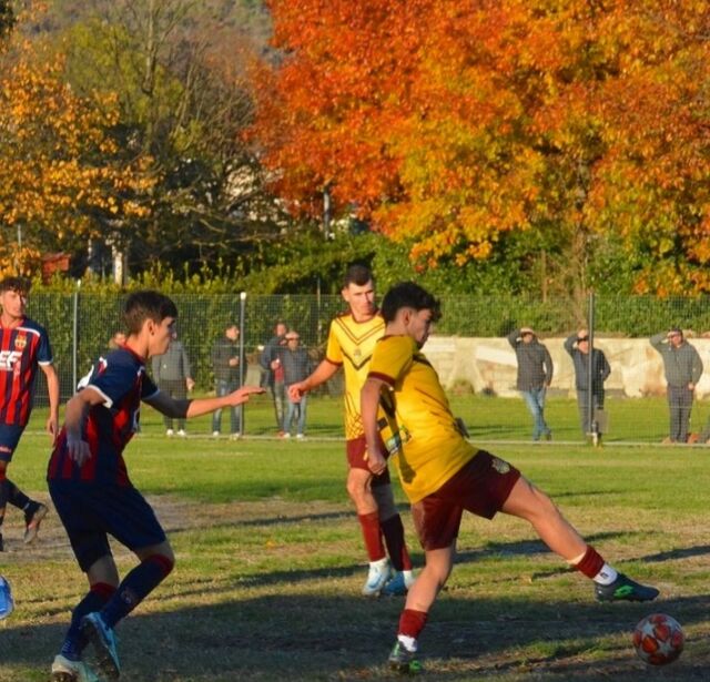 📸 Fotogallery | U19 Juniores Regionali Élite 

⚽️ Maliseti Seano-Sestese Calcio

🌍 tutte le foto di Massimo Lascialfari sul nostro sito internet ufficiale, link in bio.

🔴🟡💪🏻

#malisetiseanosiamonoi
#MLST